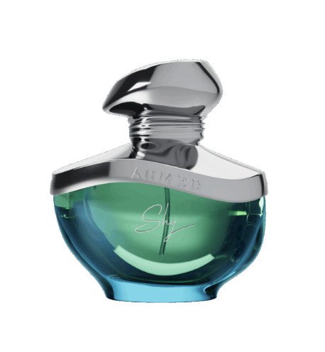 ahmed-al-maghribi-shy